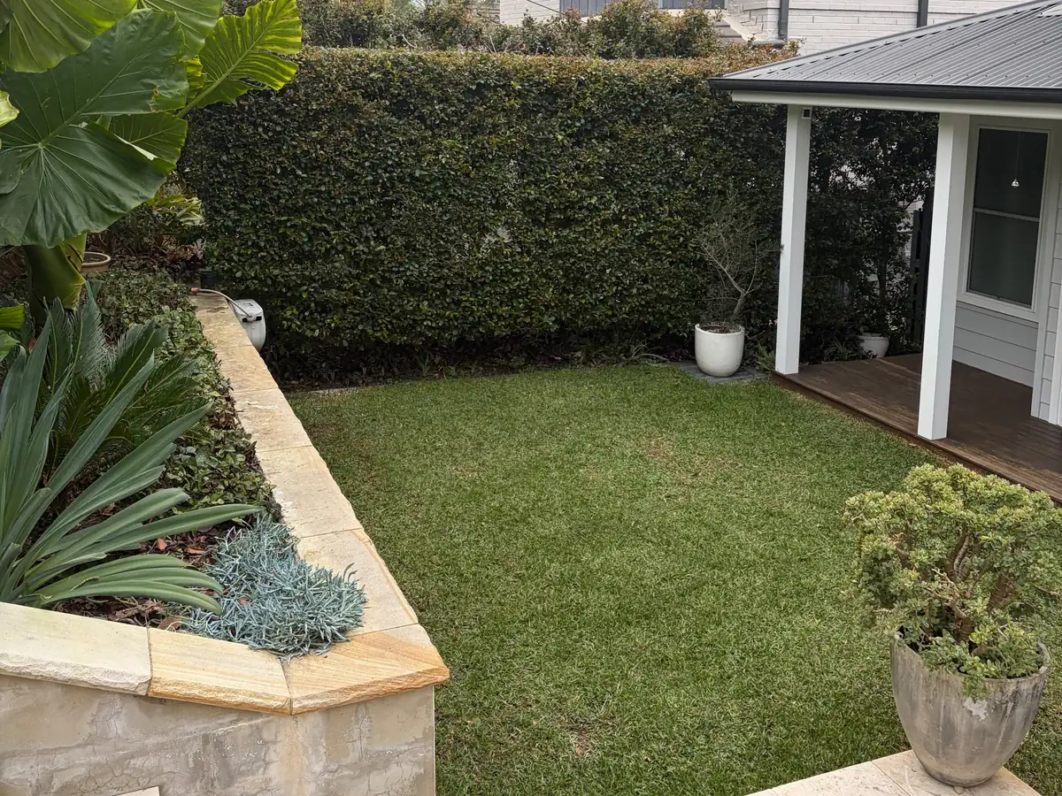 Backyard lawn beside a raised sandstone garden bed, with a tall, neatly trimmed hedge behind