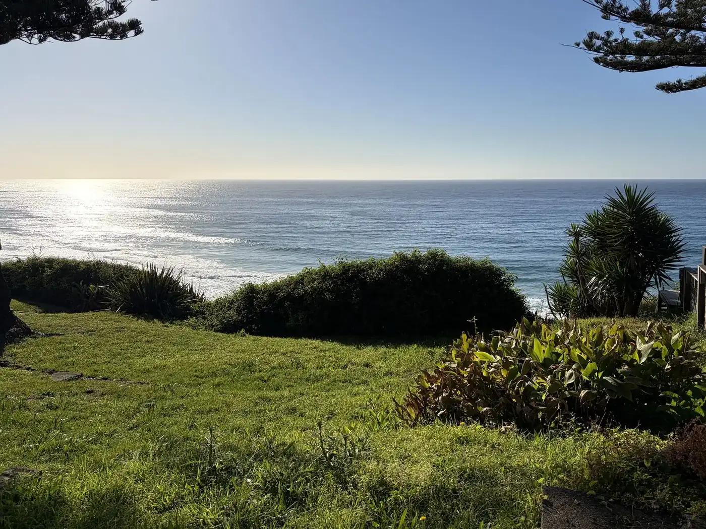 Clifftop lawn before mowing, with long grass and weeds