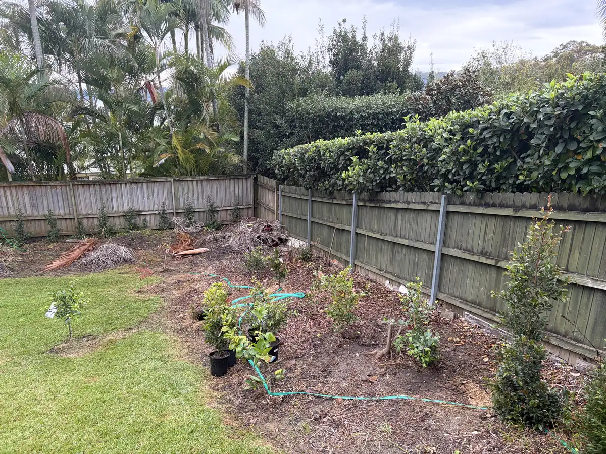 Corner garden bed before mulching, with weeds, hoses and potted plants