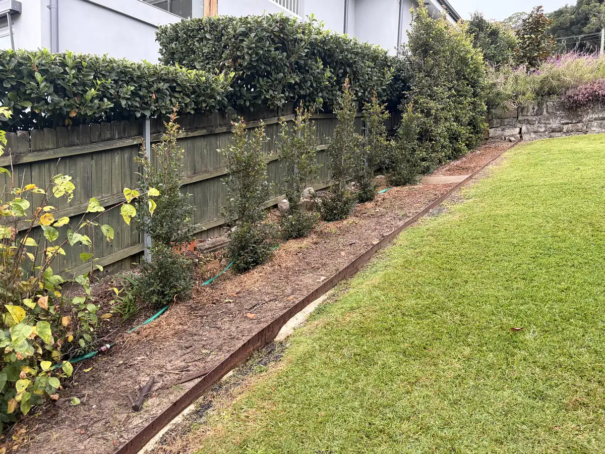 Garden bed along a timber fence before mulching, with bare, patchy soil