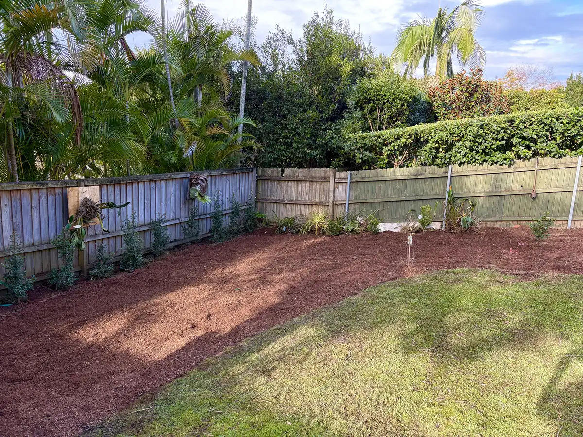 The same corner bed after the clear-out, covered in fresh mulch