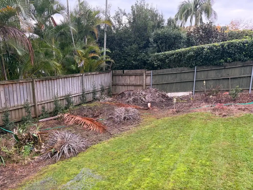 Corner garden bed before the clear-out, covered in dead palm fronds and debris