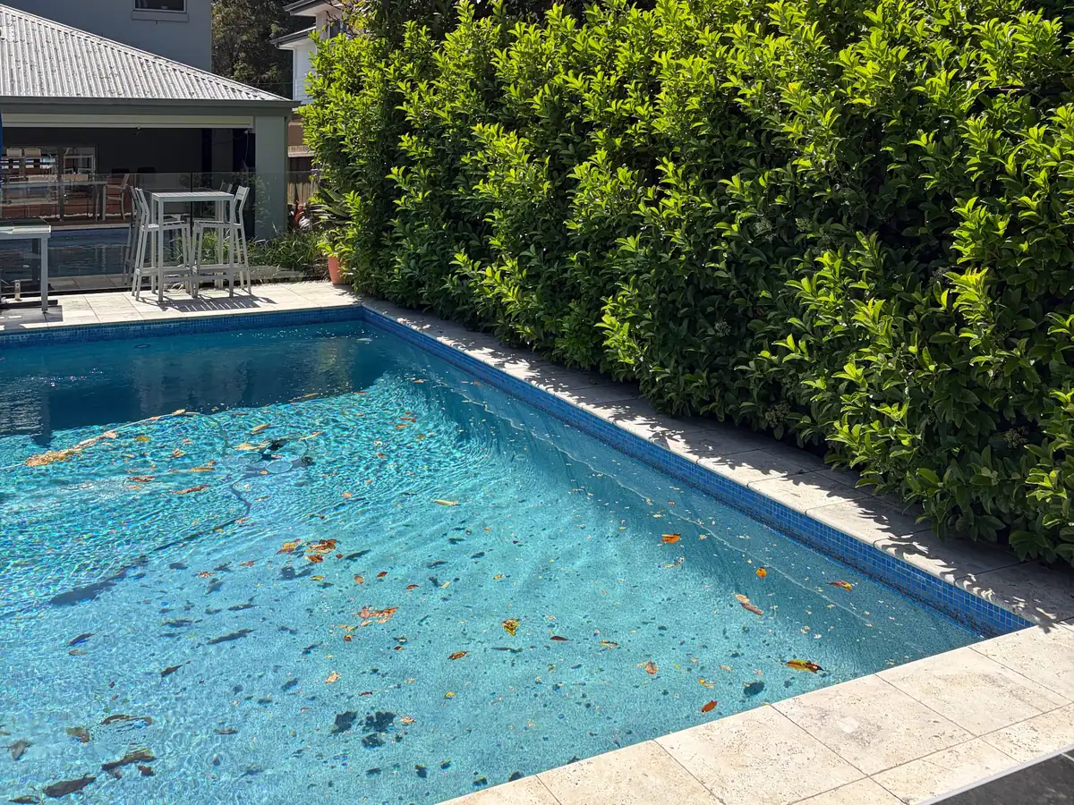 Overgrown hedge beside a swimming pool, with leaves in the water