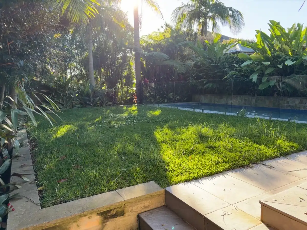 Poolside lawn before mowing, with long grass and weeds
